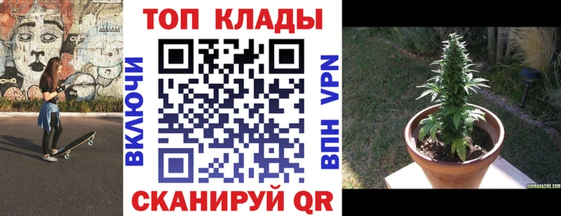  КОКАИН Светогорск