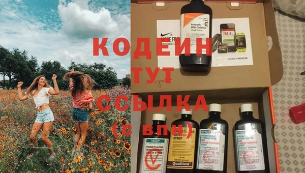 крисы Беломорск