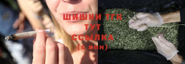 apvp Белокуриха