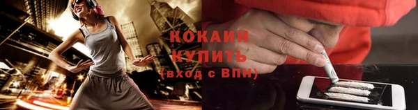 крисы Беломорск