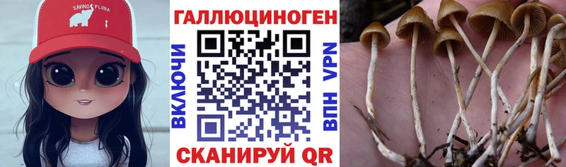Галлюциногенные грибы MAGIC MUSHROOMS  Светогорск 